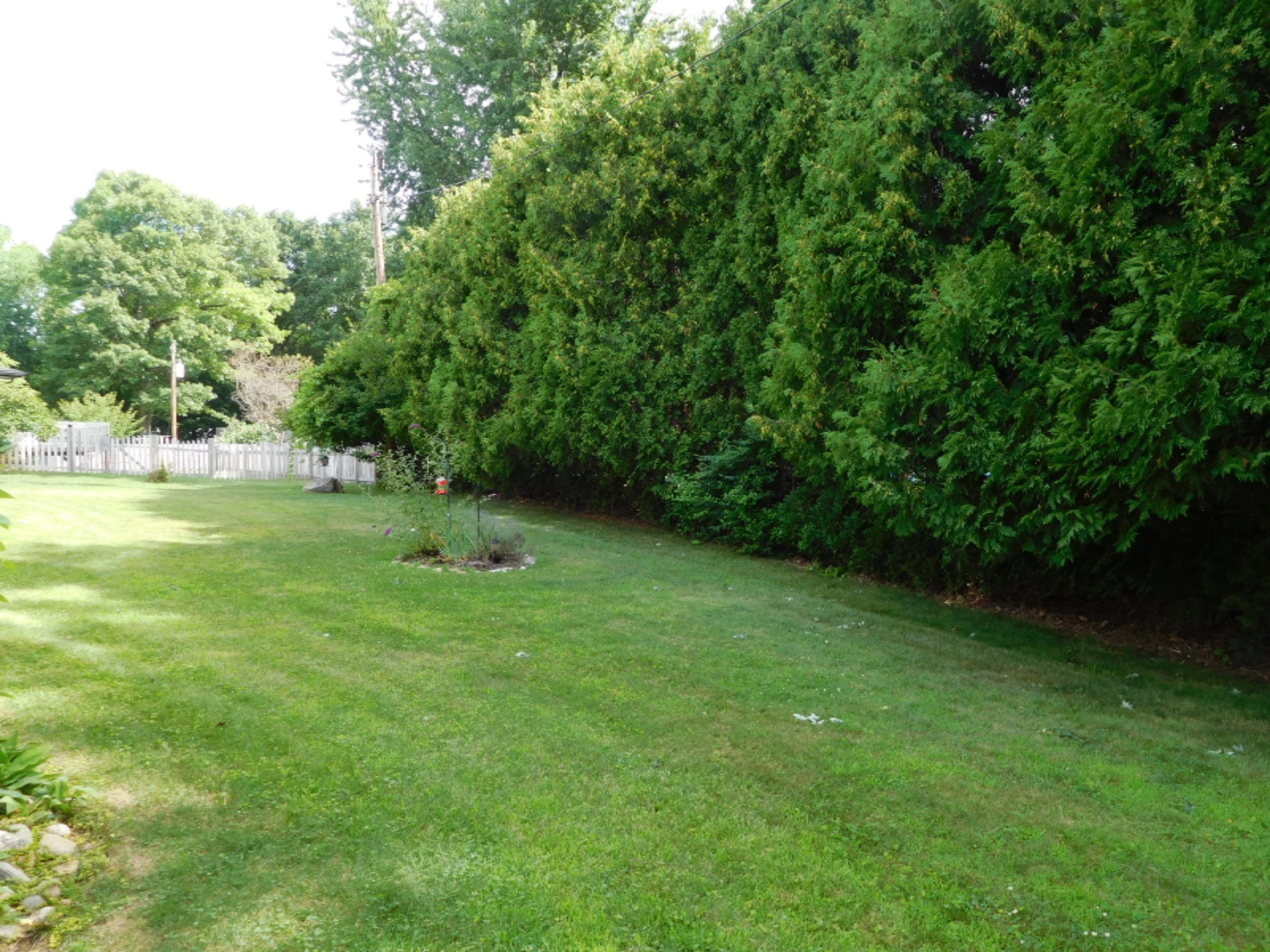 3401 Niles Road St. Joseph, MI 49085 - Photo 10 of 33 DSCN2490