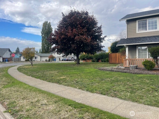 317 Icey Street Southwest Orting, WA 98360 - Photo 14 of 15