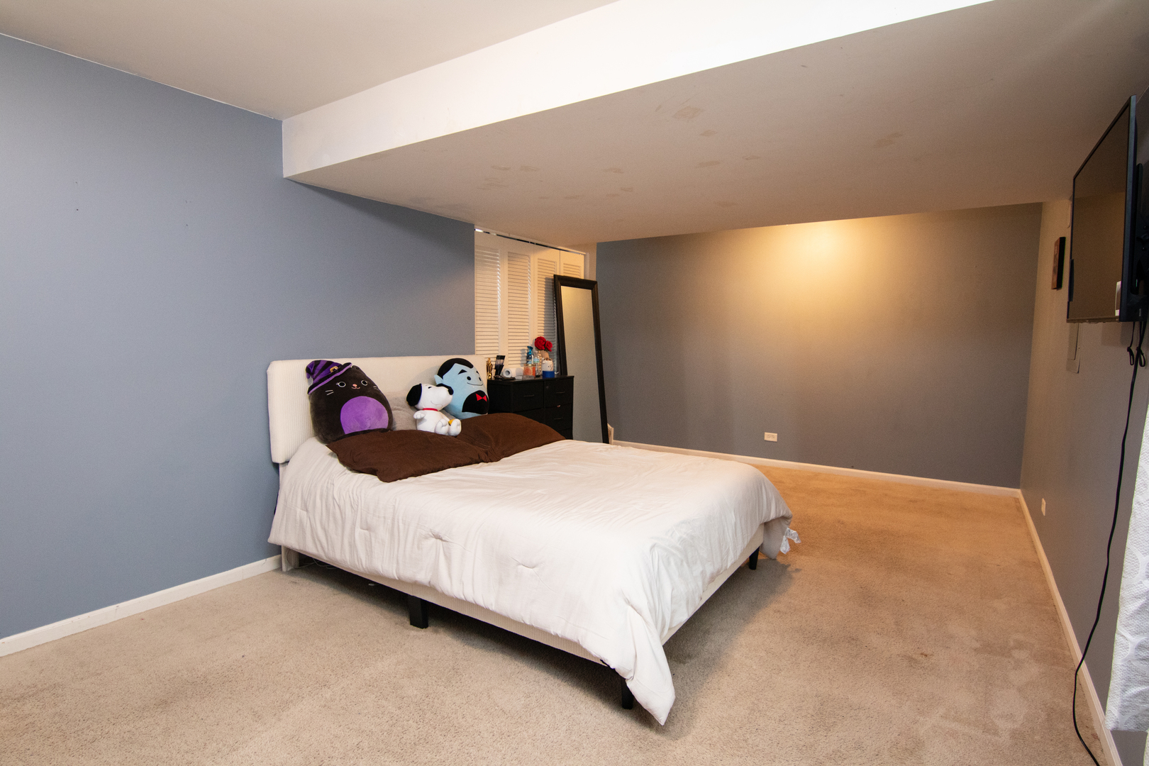 3619 Daisy Lane Elgin, IL 60124 - Photo 27 of 28 a bedroom with a bed and window