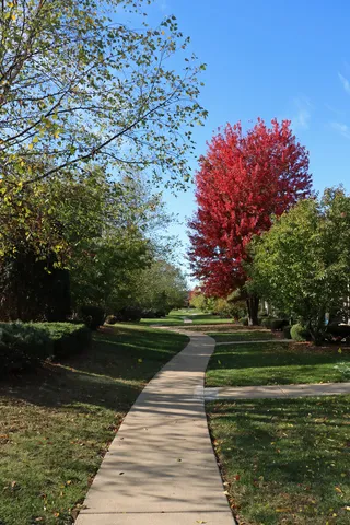 a park view with a lake view