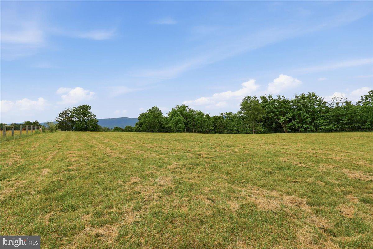 2447 Headquarters Road Edinburg, VA 22824 - Photo 45 of 58