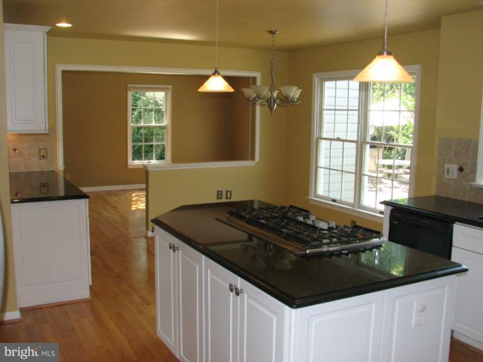 8101 Laurel Ridge Road Frederick, MD 21702 - Photo 10 of 30 Kitchen