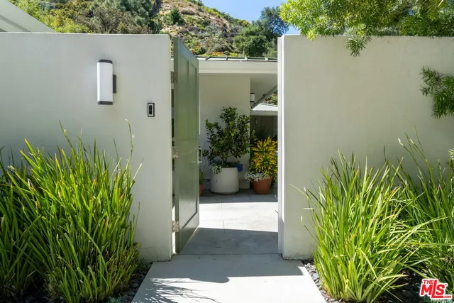 a view of a potted plant in front of a house