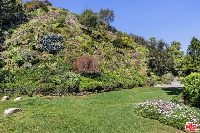 a view of a garden with a building in background