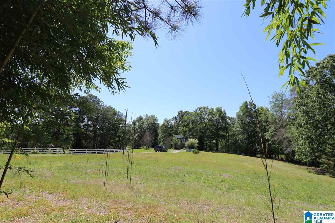 144 Rodeo Drive Pell City, AL 35128 - Photo 23 of 27