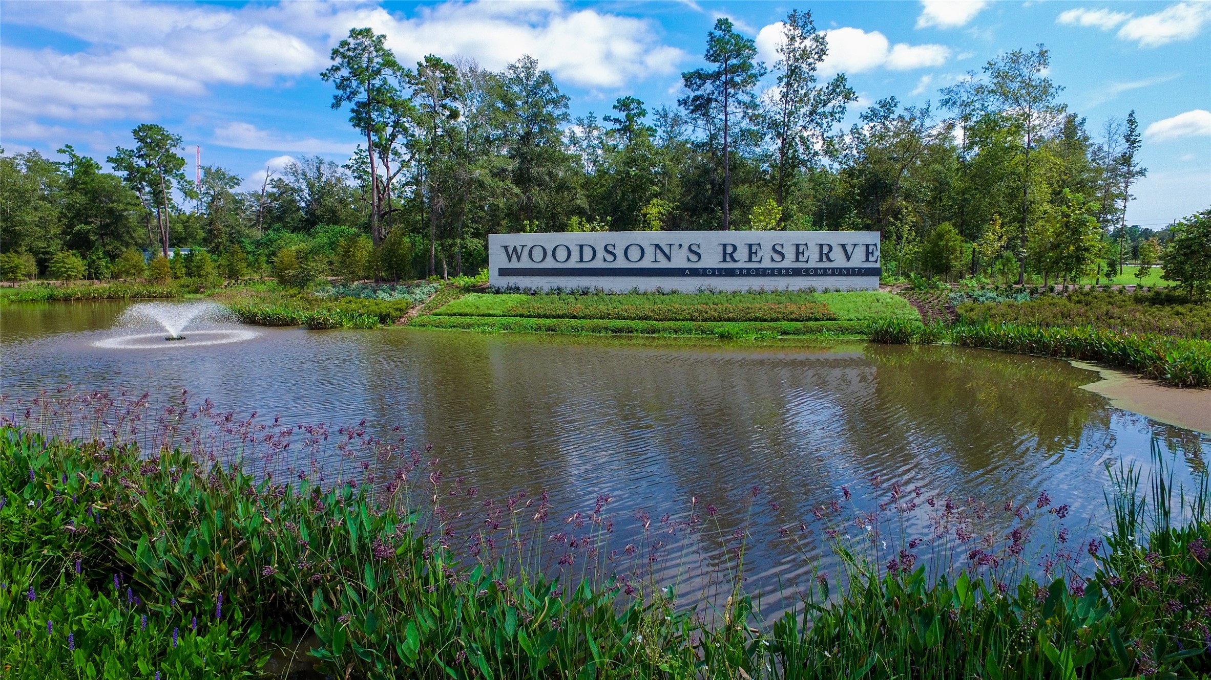 28217 Briarwood Pass Spring, TX 77386 - Photo 46 of 50