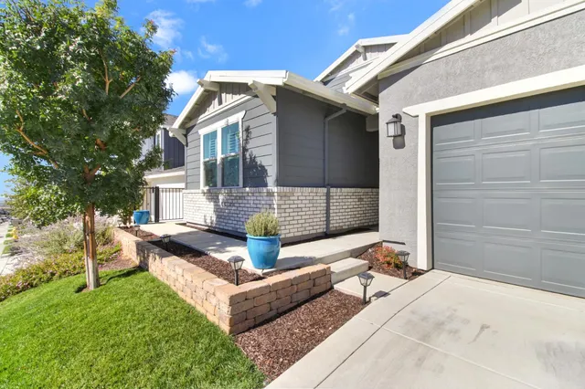 a view of two chair and potted plant