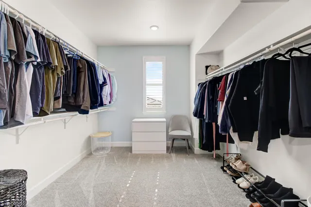 a view of a backyard with plants and a patio