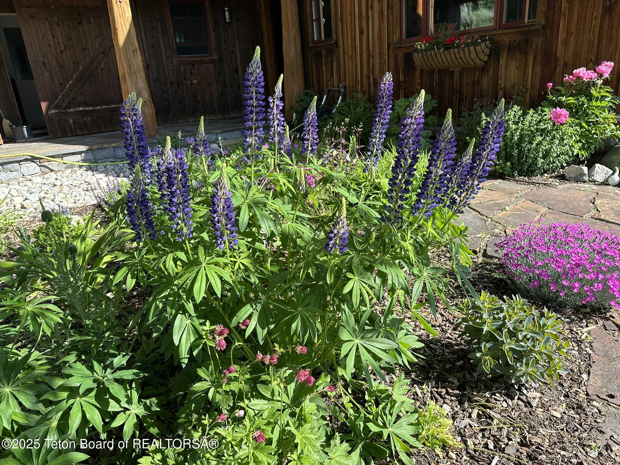 5248 South 4500 West Victor, ID 83455 - Photo 61 of 97 IMG_2406