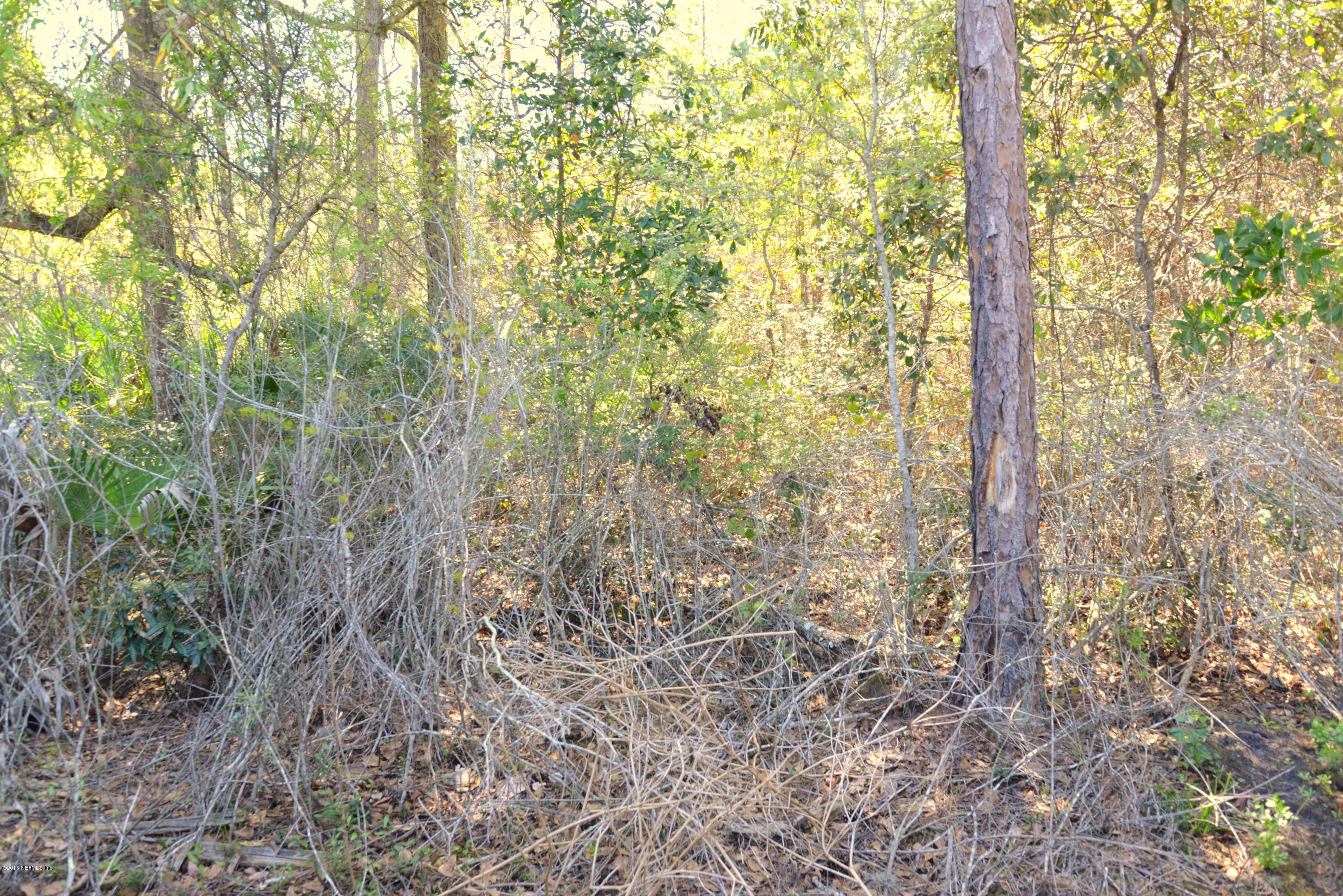 181 South Twin Maple Road St. Augustine, FL 32084 - Photo 54 of 55 BEHIND THE FENCE
