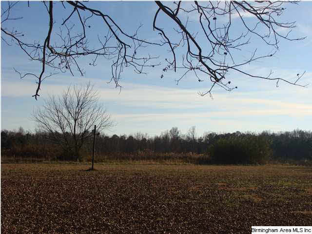 2614 Corner Road Warrior, AL 35180 - Photo 4 of 6