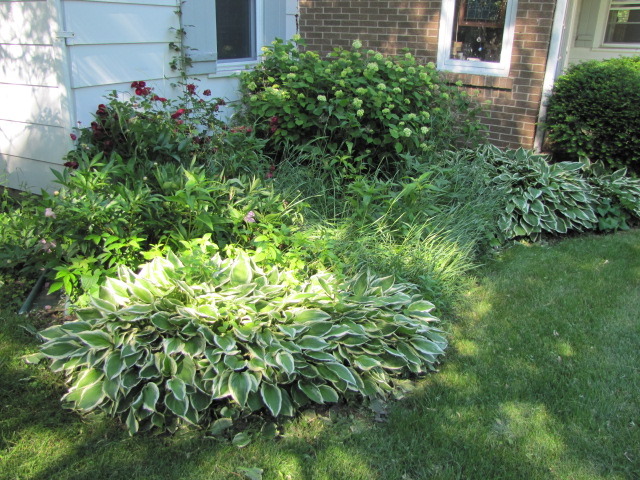 18404 Perth Avenue Homewood, IL 60430 - Photo 20 of 25