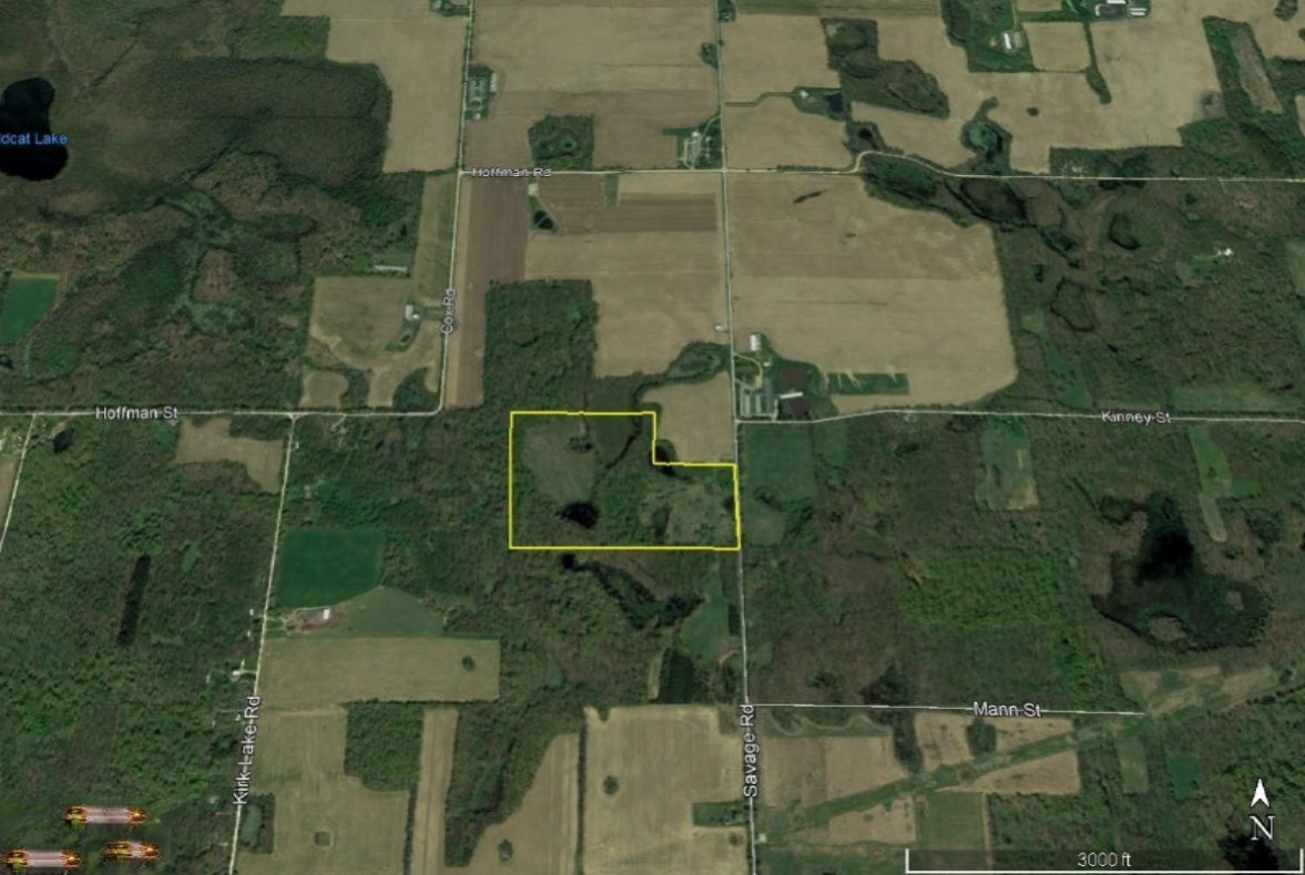 Savage Road Marcellus, MI 49067 - Photo 21 of 22