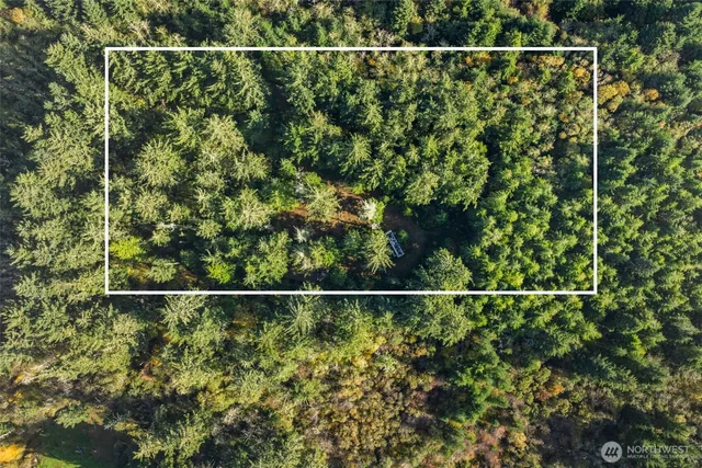 a view of a yard and mountain view