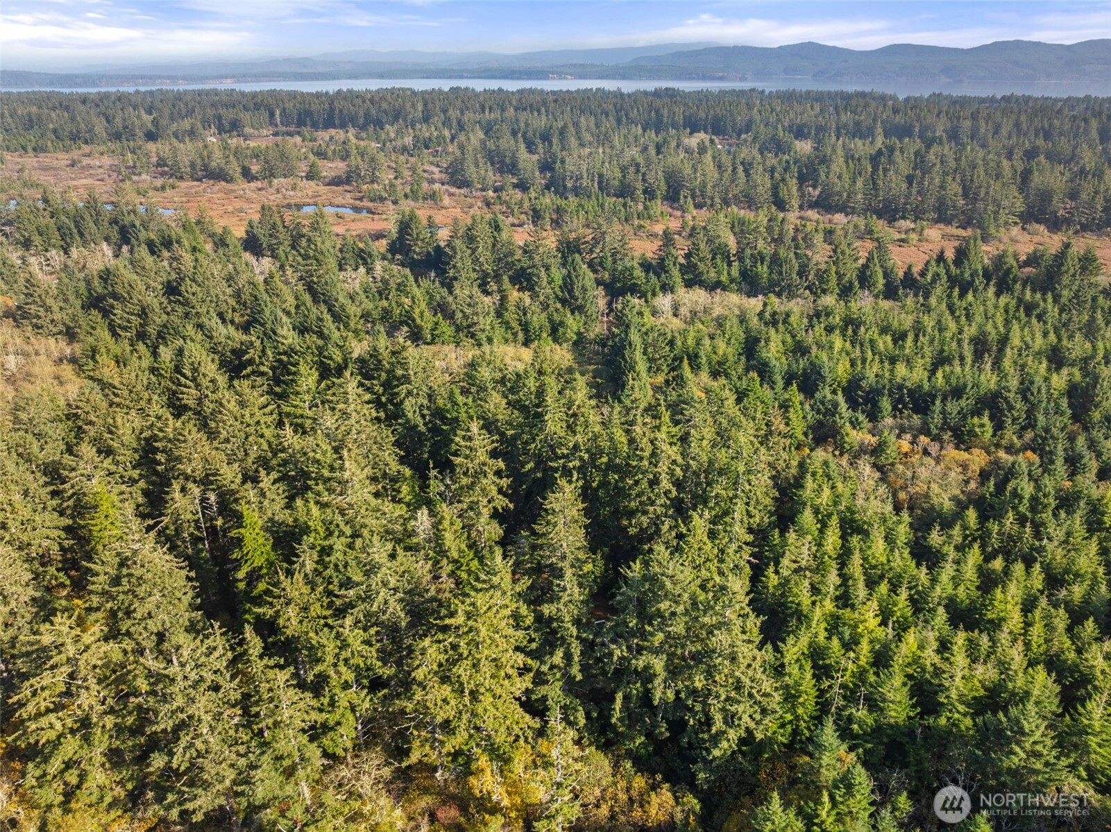 1 147th Place Long Beach, WA 98631 - Photo 13 of 14 a view of a city with lush green forest
