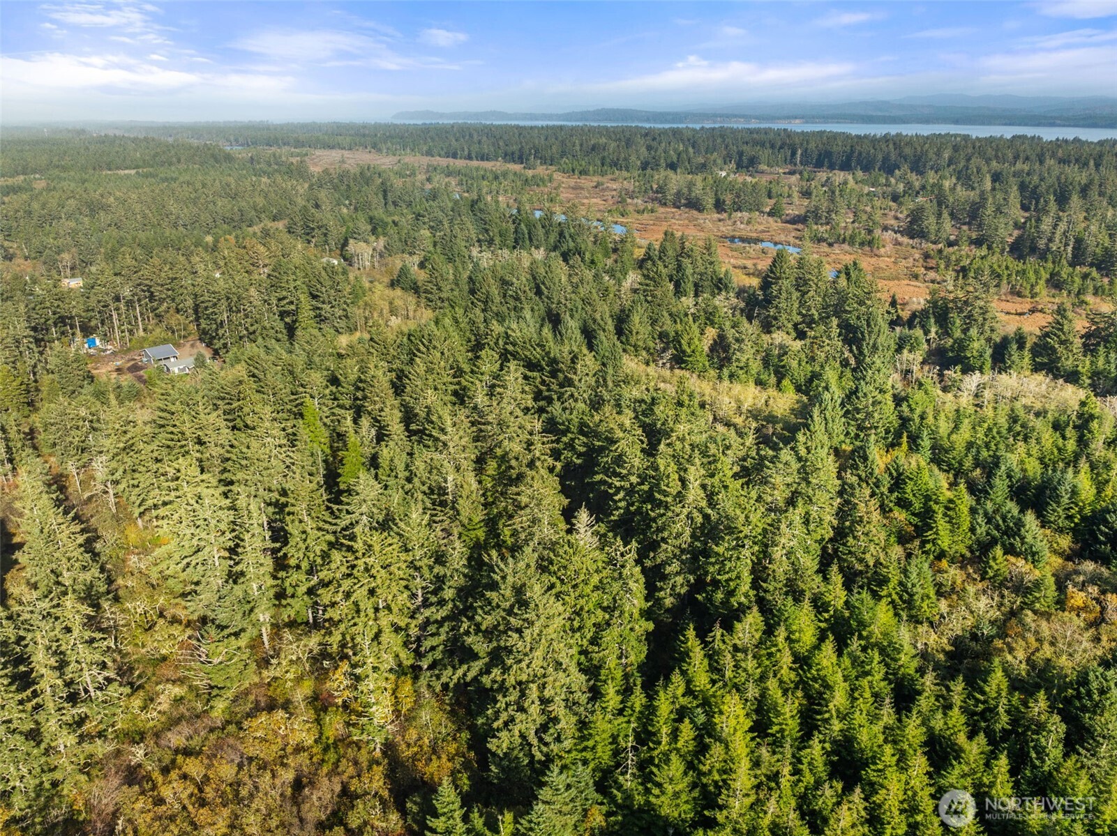 1 147th Place Long Beach, WA 98631 - Photo 3 of 14 a view of a city from a yard