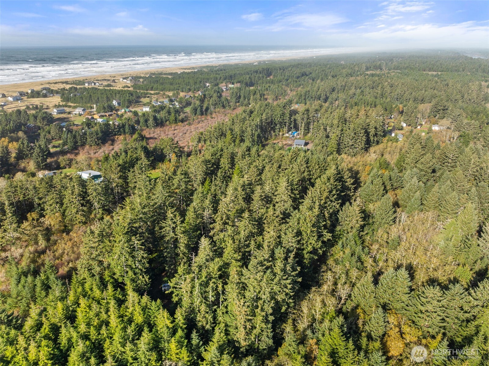 1 147th Place Long Beach, WA 98631 - Photo 8 of 14 an aerial view of residential houses with outdoor space and trees