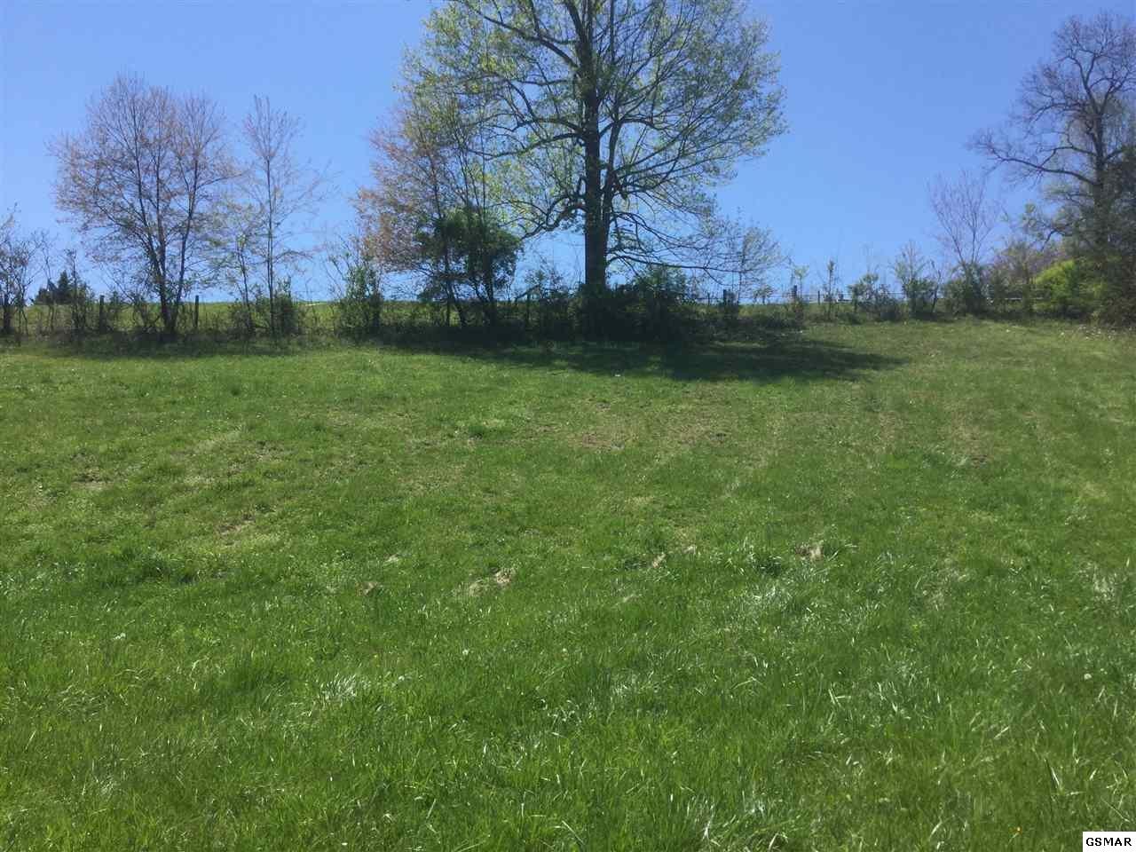 22 Hatcher Mountain Road Sevierville, TN 37862 - Photo 7 of 20 Gallery Image 7