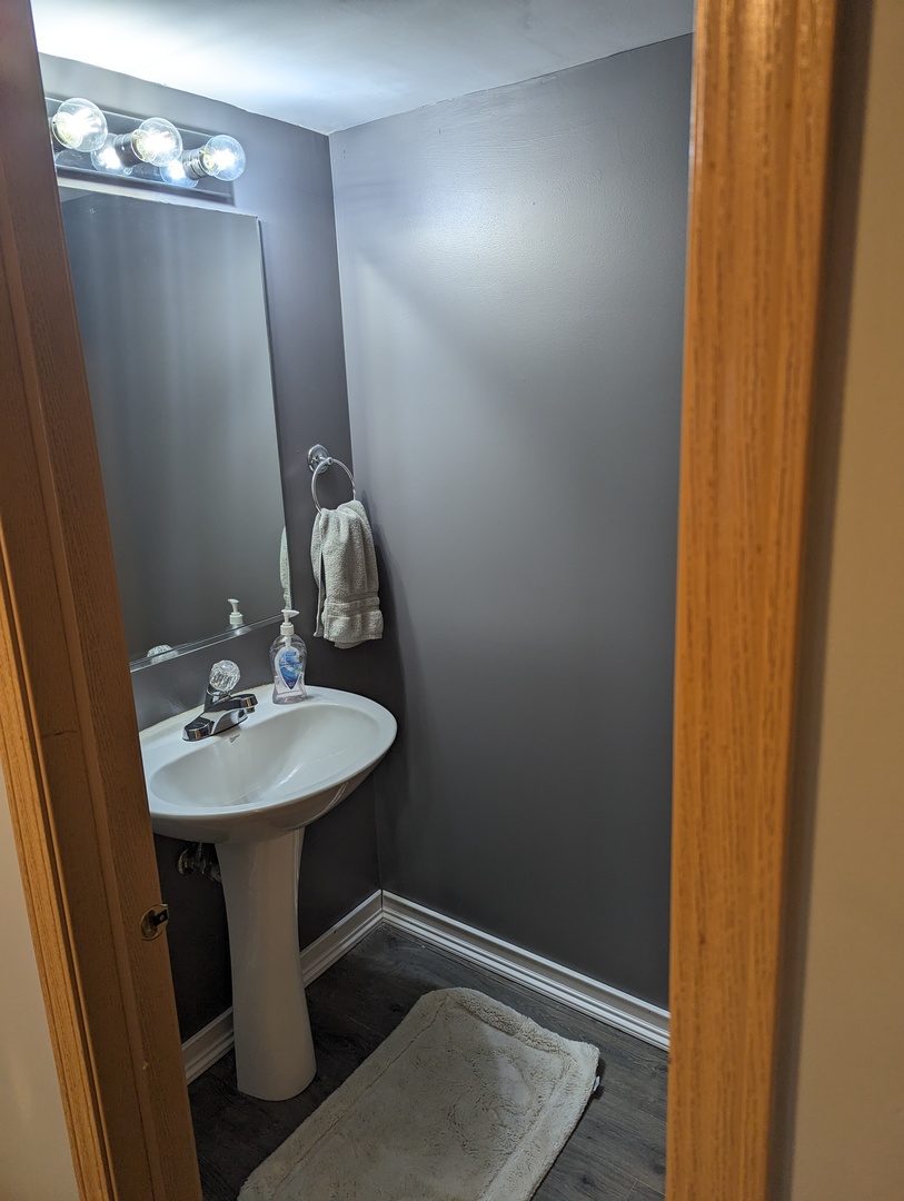 25196 Faraday Road, Unit 1 Manhattan, IL 60442 - Photo 16 of 19 a bathroom with a sink a mirror and vanity