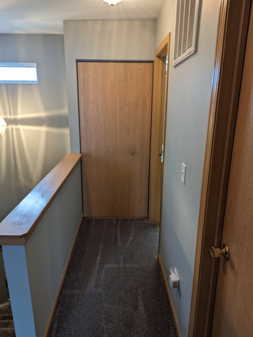 25196 Faraday Road, Unit 1 Manhattan, IL 60442 - Photo 3 of 19 a view of walk in closet