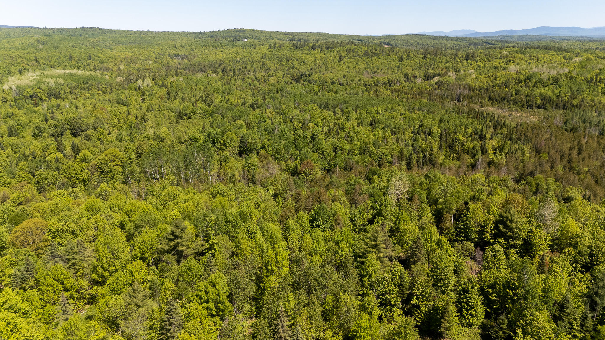 131 Gales Road Abbot, ME 04406 - Photo 124 of 128 DJI_20260603104425_0542_D