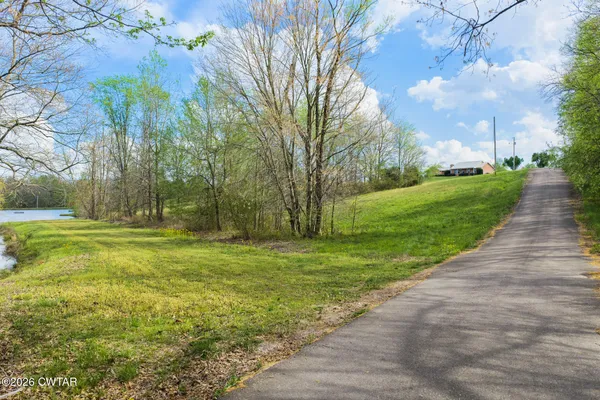 a view of a park with large trees