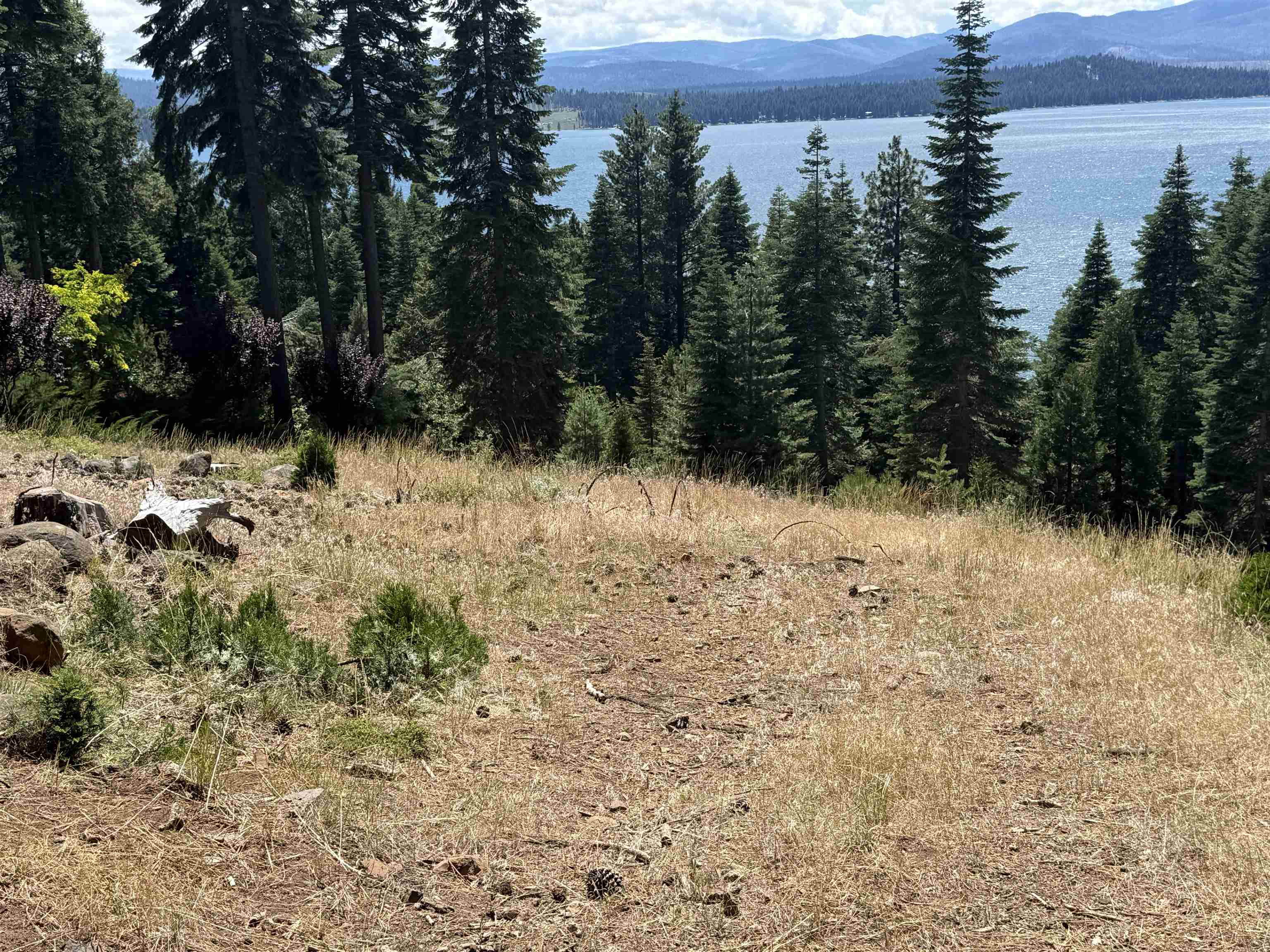 707 West Mountain Ridge Road Lake Almanor, CA 96137 - Photo 2 of 2