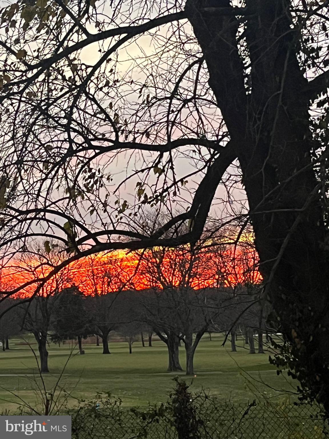 304 Old Courthouse Road Northeast Vienna, VA 22180 - Photo 2 of 25 Sunset hues through bare branches.