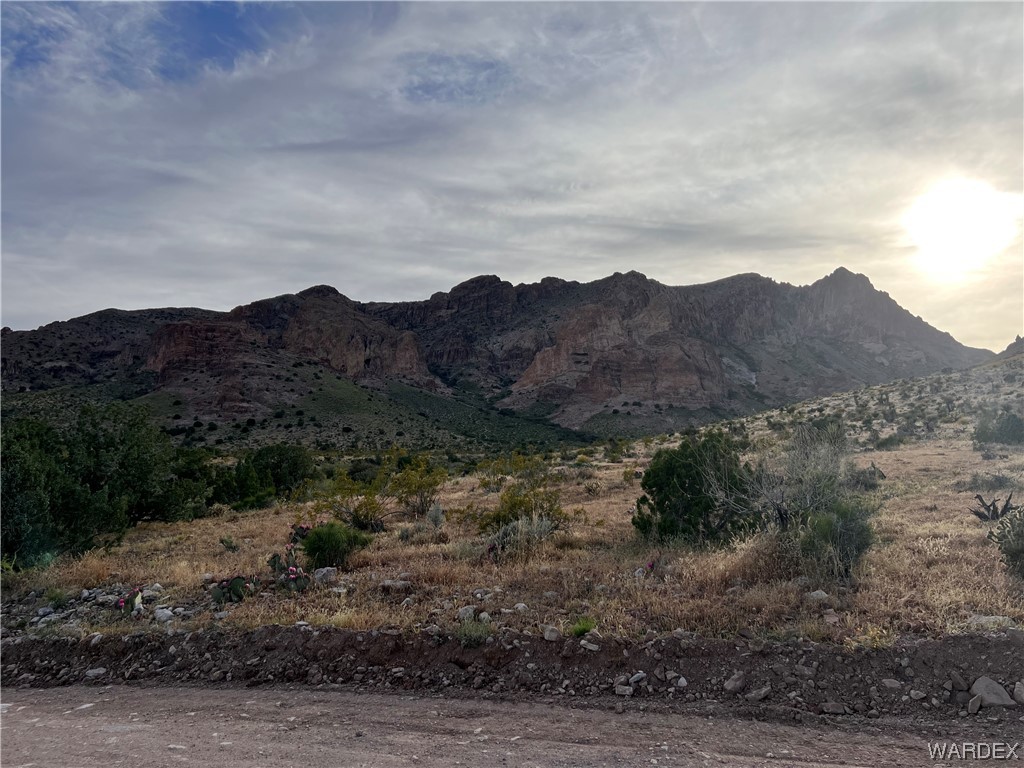 2406 Guthrie Road Golden Valley, AZ 86413 - Photo 8 of 25