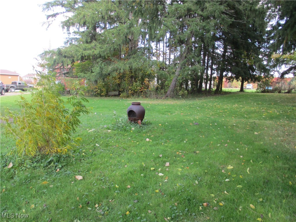 15401 A Madison Road Middlefield, OH 44062 - Photo 3 of 17 Side yard