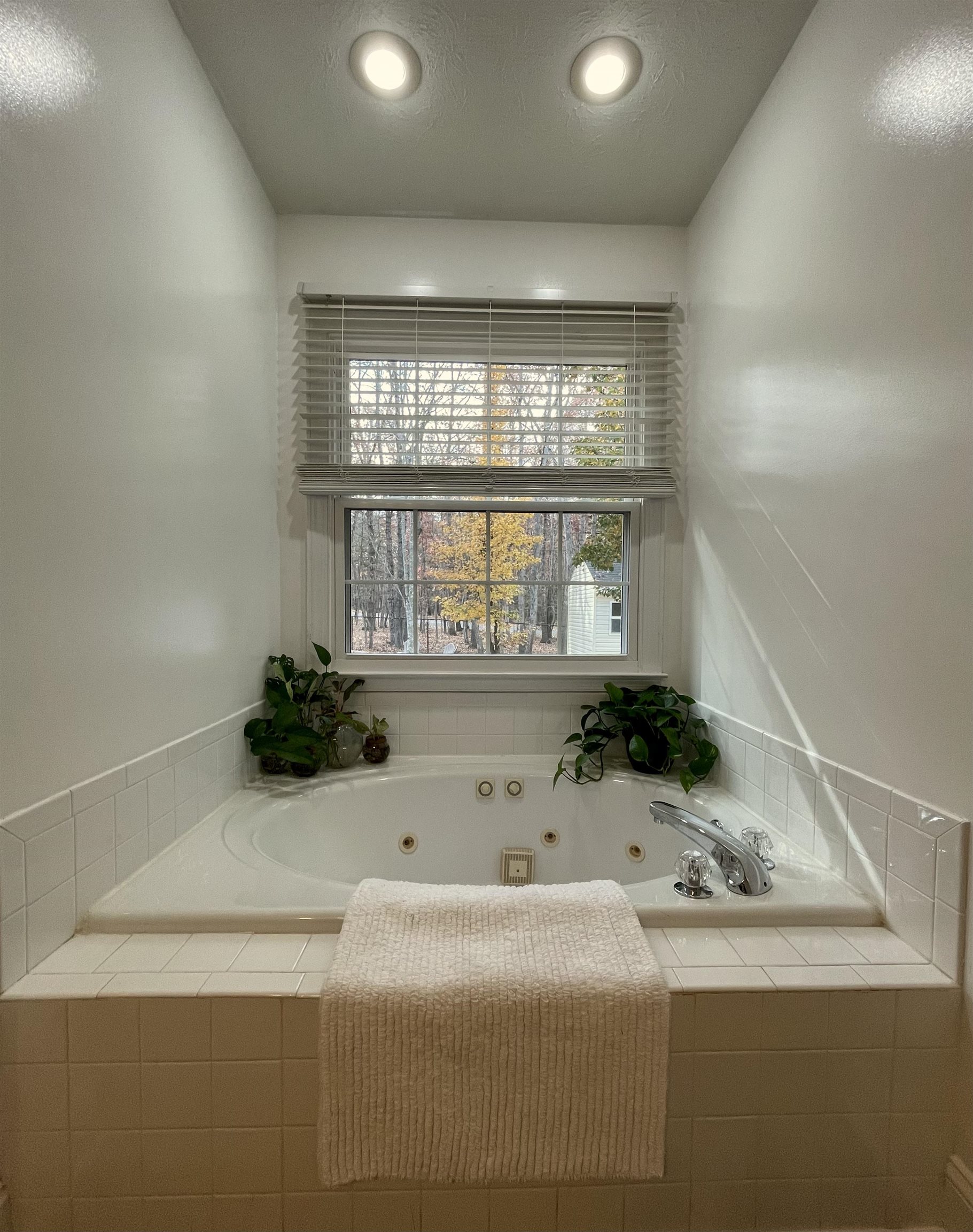 111 Rutherford Lane Stuarts Draft, VA 24477 - Photo 25 of 45 a bathroom with a bathtub and a sink