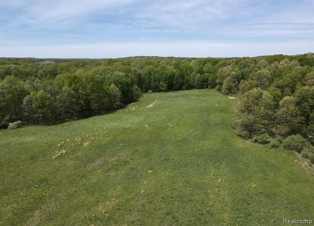 8450 Pepper Road Davisburg, MI 48350 - Photo 11 of 12