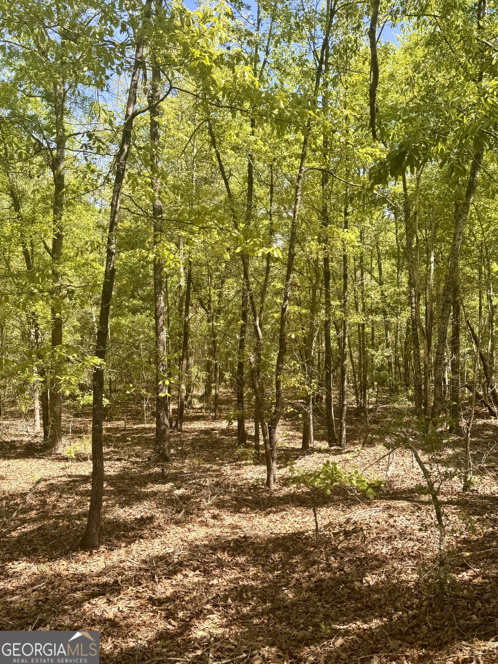 0 Dukes Road Wadley, GA 30477 - Photo 2 of 4