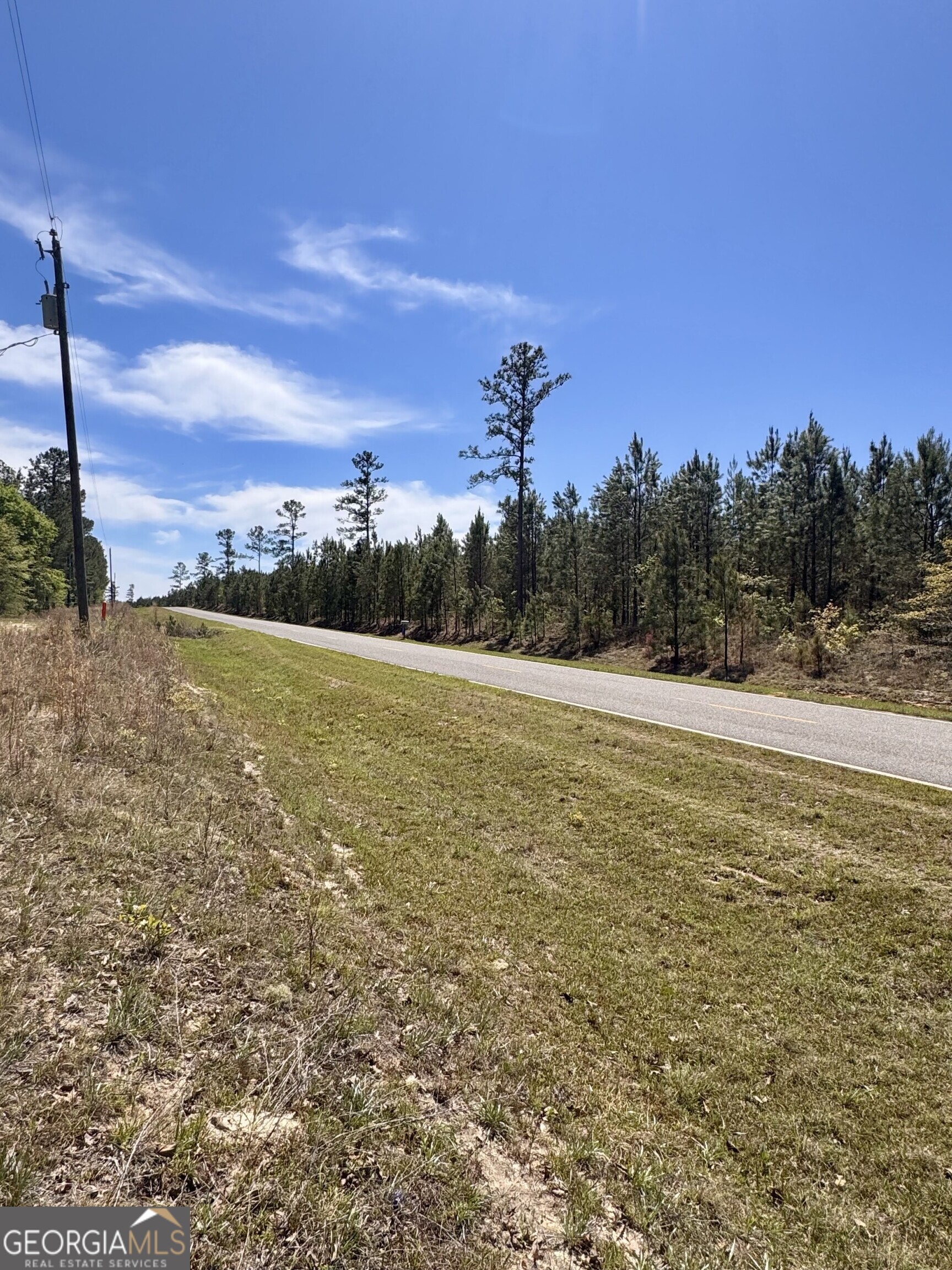 0 Dukes Road Wadley, GA 30477 - Photo 3 of 4