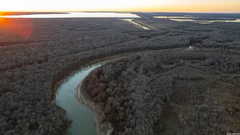 a view of a lake in middle of forest