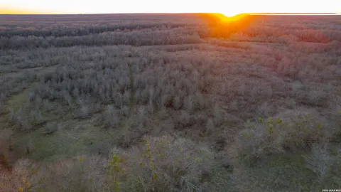 a view of a dry yard