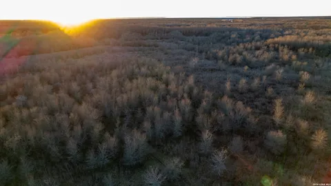 a view of a lake with houses in the back