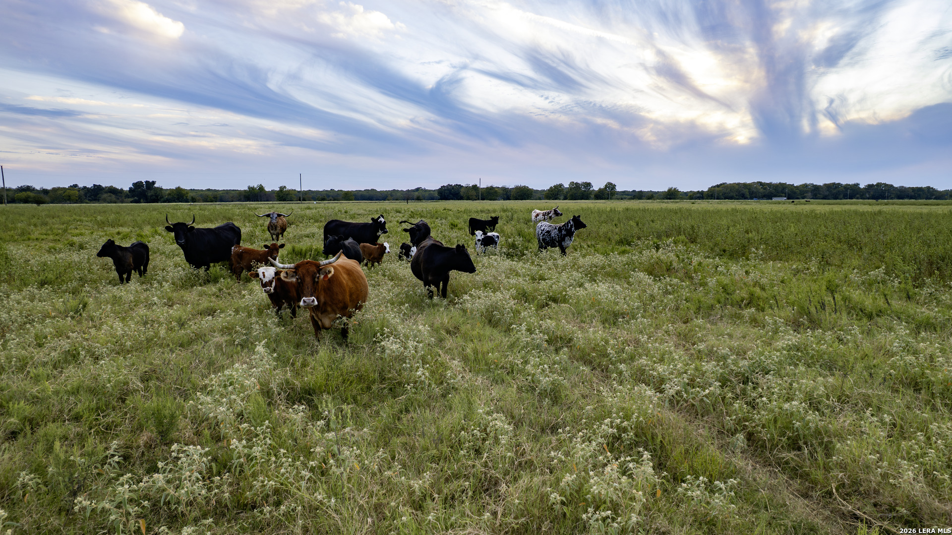 25119 Private Rd 8496 Athens, TX 75751 - Photo 21 of 24