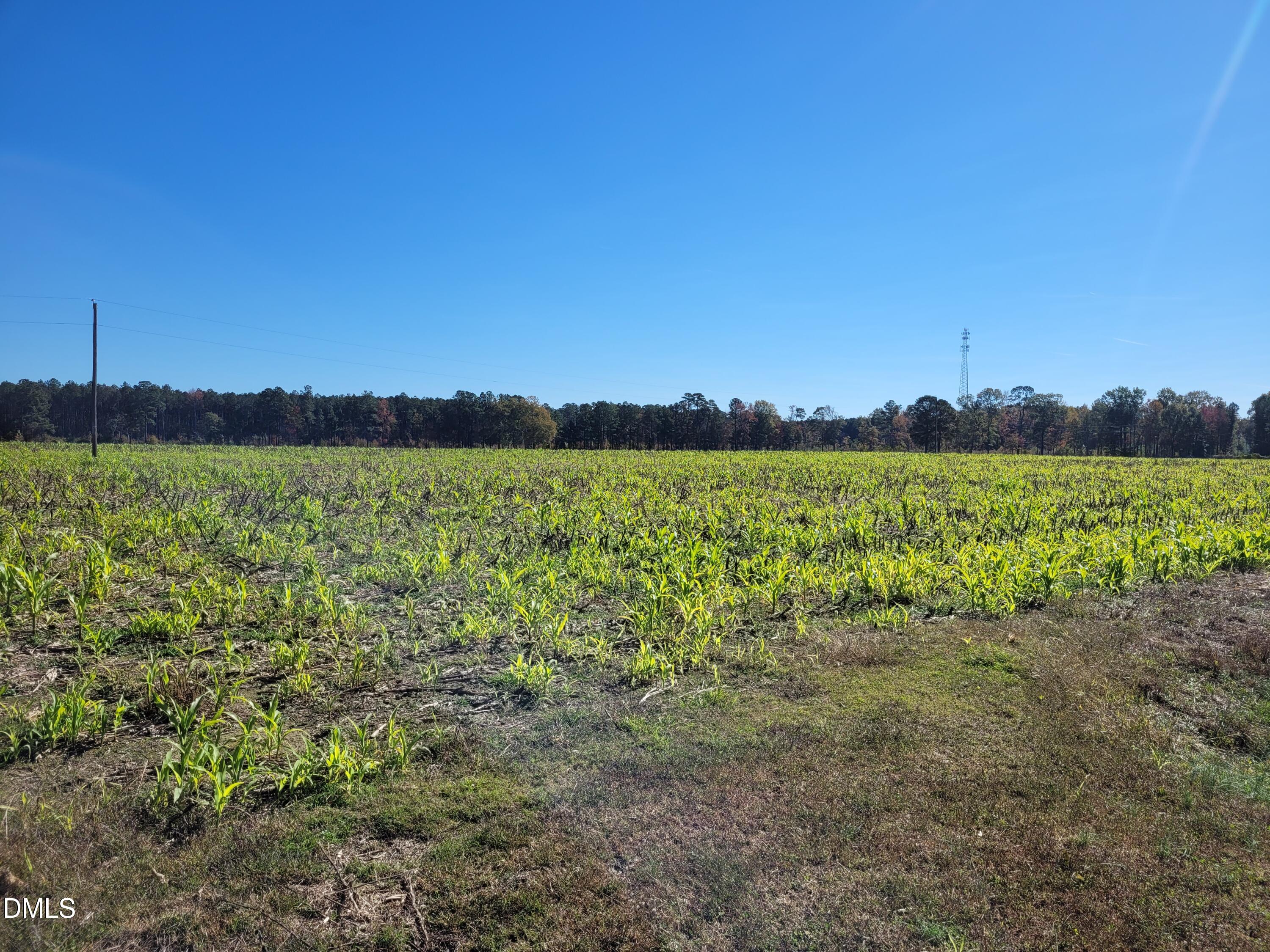 2614 Buffalo Road Smithfield, NC 27577 - Photo 1 of 3 a view of an outdoor space and a lake view