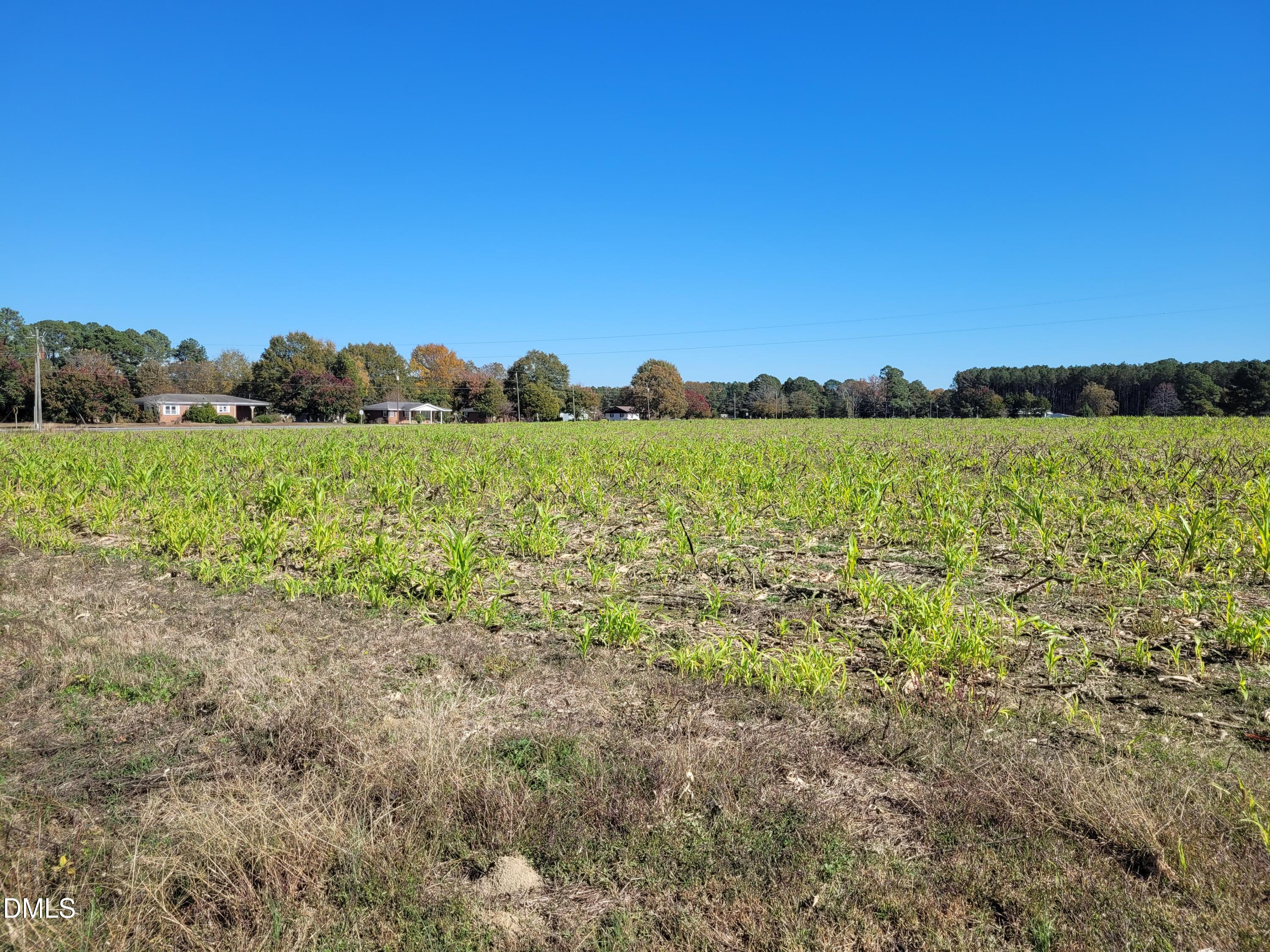 2614 Buffalo Road Smithfield, NC 27577 - Photo 3 of 3 a view of an outdoor space and a yard
