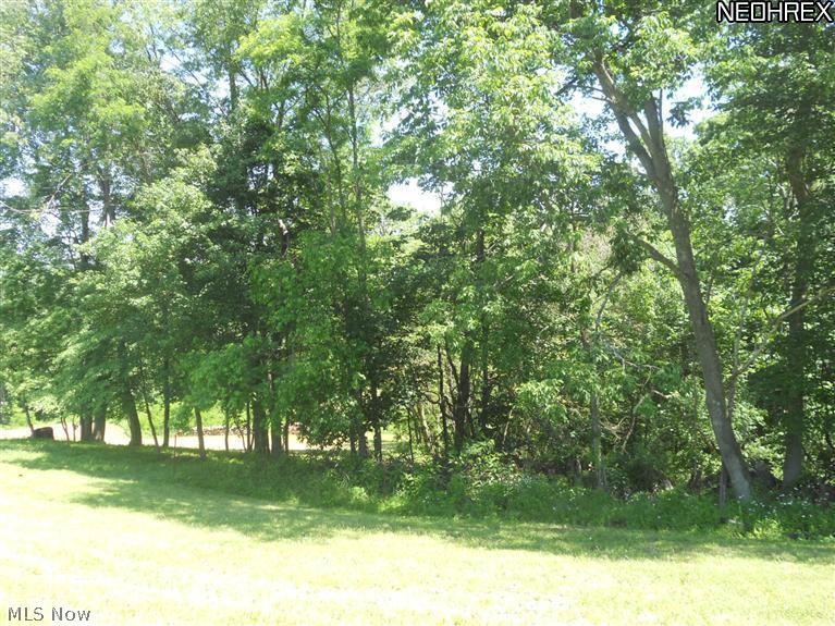 10525 Dutch Hill Road Dresden, OH 43821 - Photo 24 of 25 Gallery Image 24