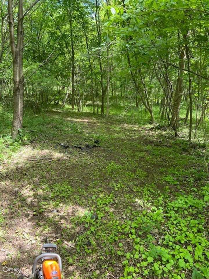 0 Marshall Road Ann Arbor, MI 48104 - Photo 3 of 7