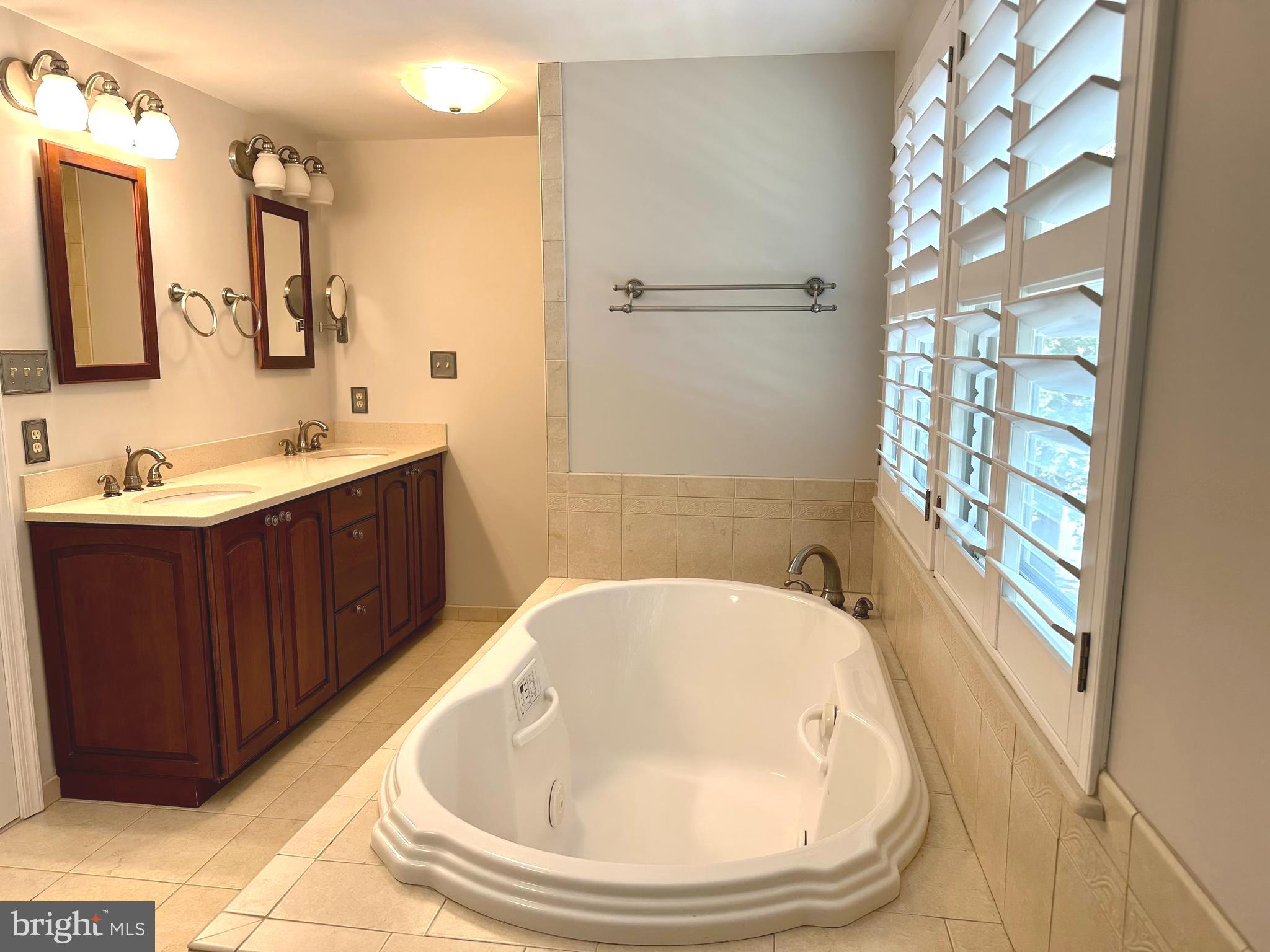 115 North Johnson Road Sterling, VA 20164 - Photo 9 of 19 Sanijet Tub