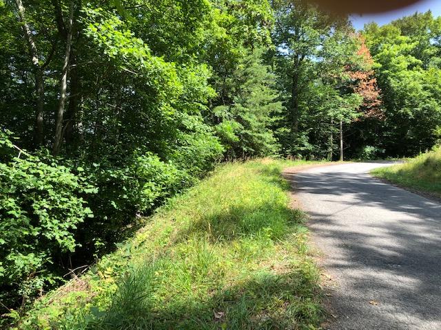 Grandpa's Ridge Sharps Chapel, TN 37866 - Photo 4 of 14 Lot 87-GR 3