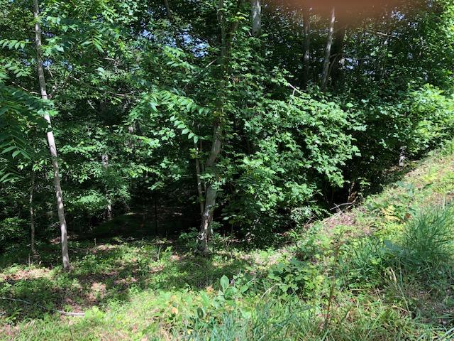 Grandpa's Ridge Sharps Chapel, TN 37866 - Photo 5 of 14 Lot 87 GR-4
