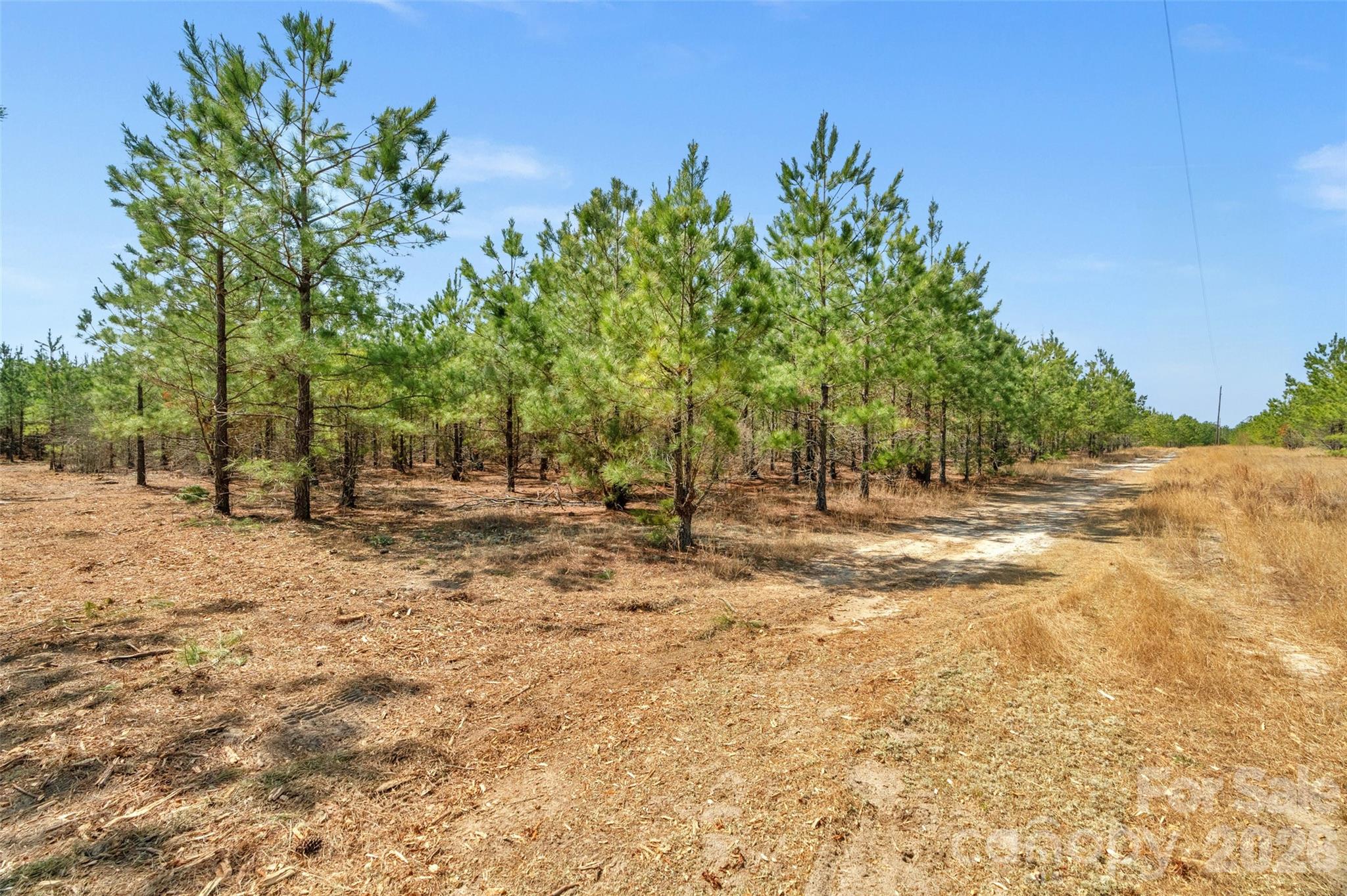 931 Charlie Johnson Road, Unit 10 Kershaw, SC 29067 - Photo 11 of 32