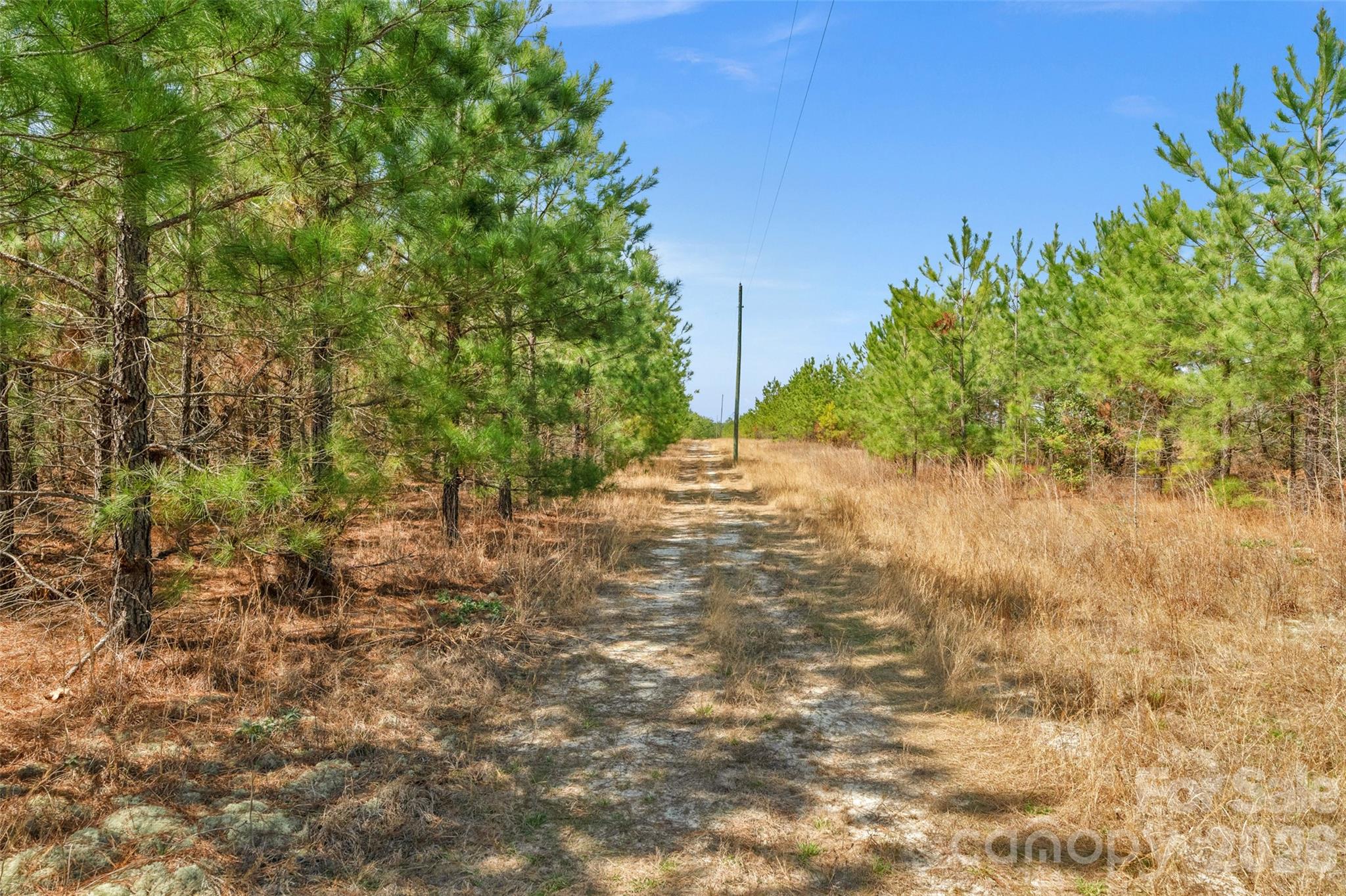 931 Charlie Johnson Road, Unit 10 Kershaw, SC 29067 - Photo 13 of 32