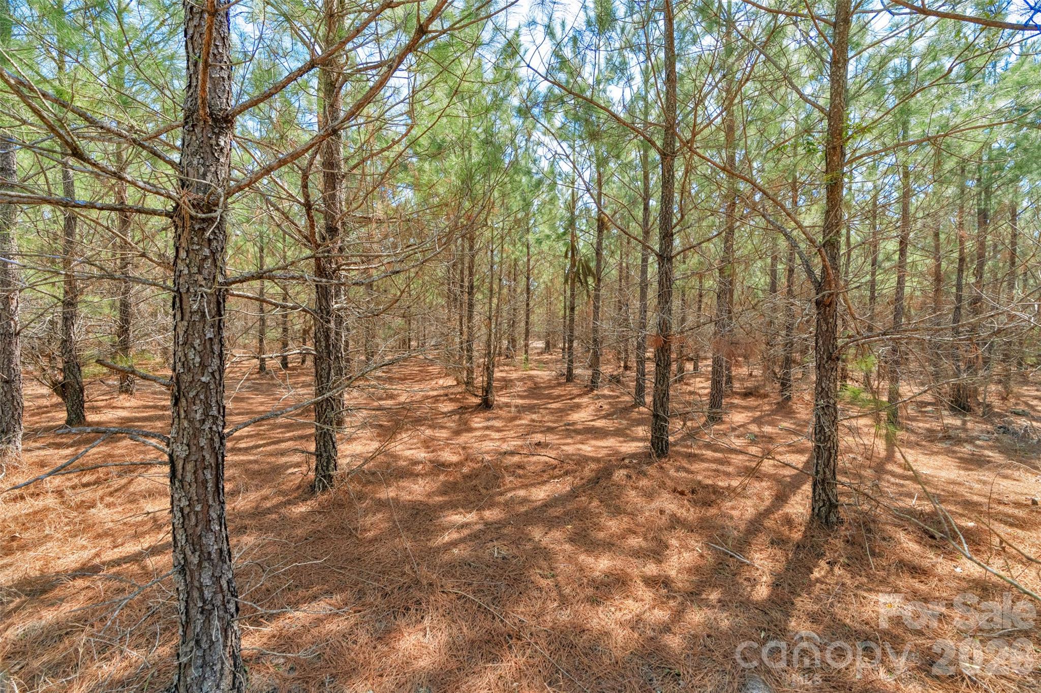 931 Charlie Johnson Road, Unit 10 Kershaw, SC 29067 - Photo 16 of 32