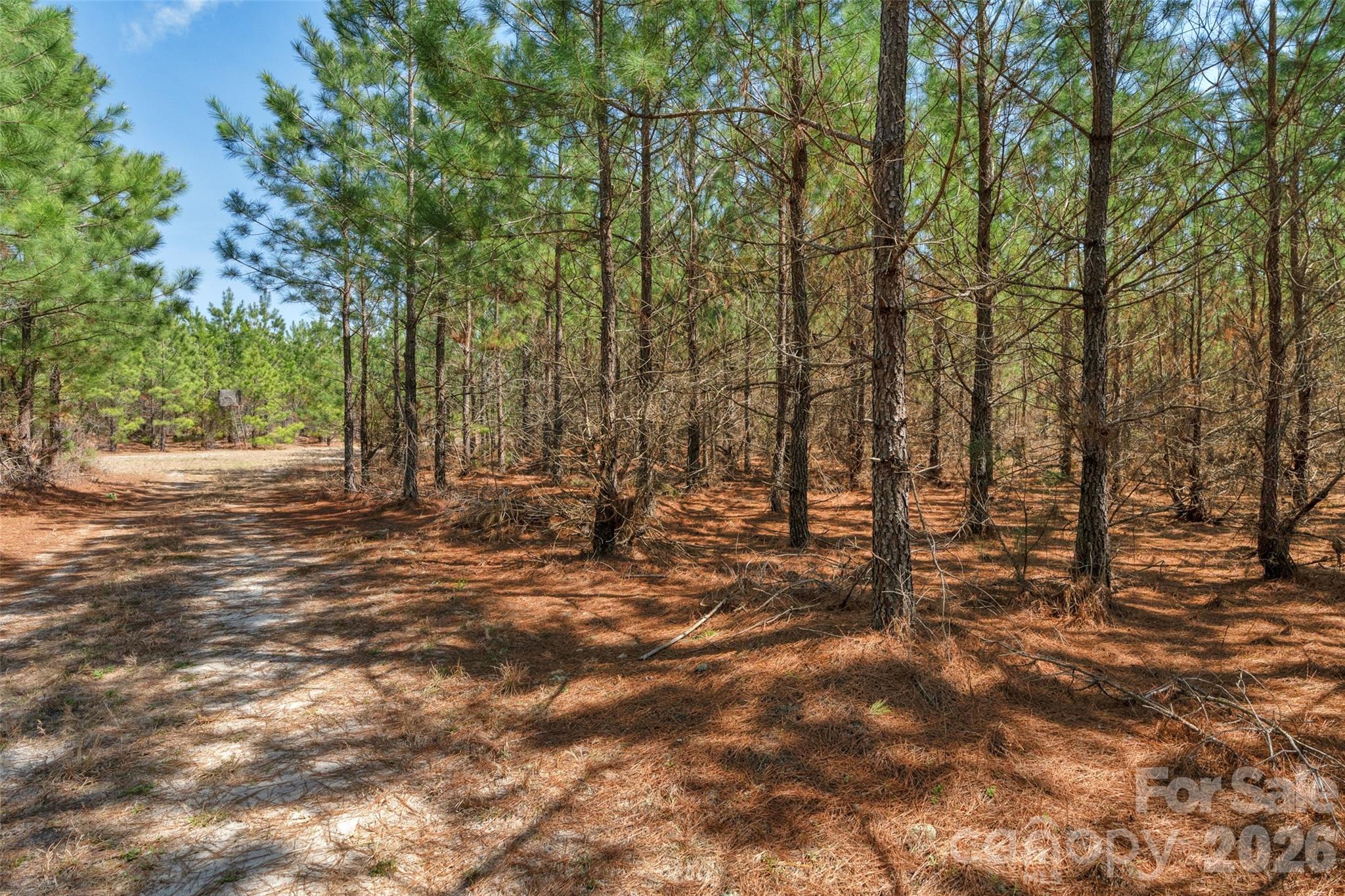 931 Charlie Johnson Road, Unit 10 Kershaw, SC 29067 - Photo 25 of 32