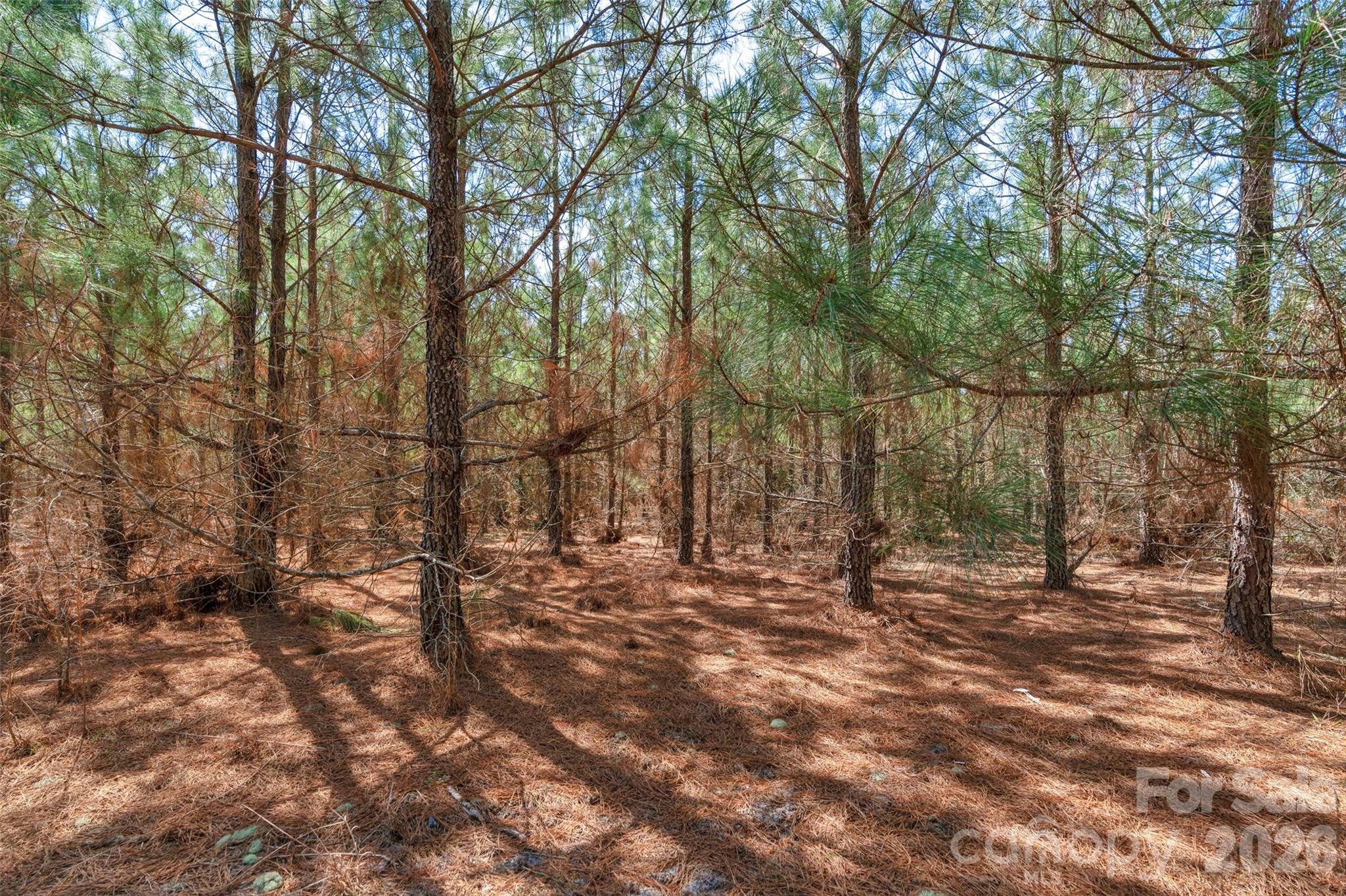 931 Charlie Johnson Road, Unit 10 Kershaw, SC 29067 - Photo 27 of 32